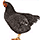 Popular animals