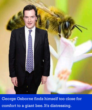 George Osborne