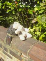 An uncare bear. 