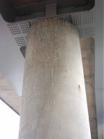 Pigeon shit.