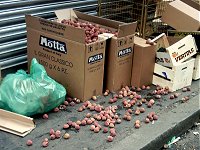Lychees, lychees. On Berwick Street.