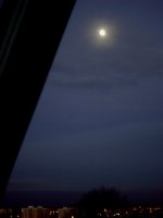 The fucking moon. 