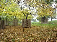 Boxes surround the trees.