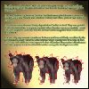 A fairytale about bears