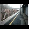 The pumas speed past Alexandra Palace station