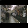 A rhino on the tube.