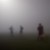 Foggy days make us forget how ugly and plain life can be.