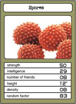 Spores